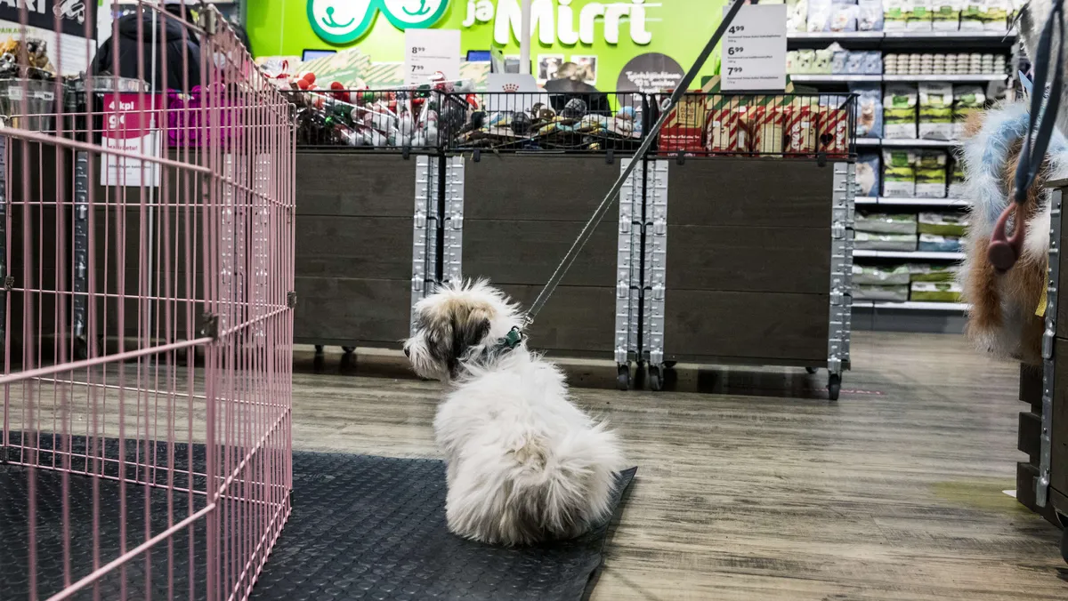 Yllätyskäänne Mustissa ja Mirrissä: Tämä sijoittajan pitää tietää