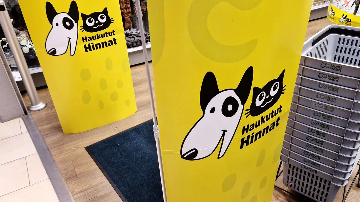 Musti Groupin tulos parani – Ei ohjeistusta tai osinkoa