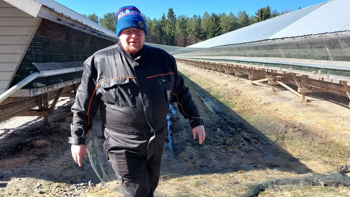 Tämä ala tekee paluuta – Kauhavalainen yrittäjä aikoo tuplata eläinmääränsä