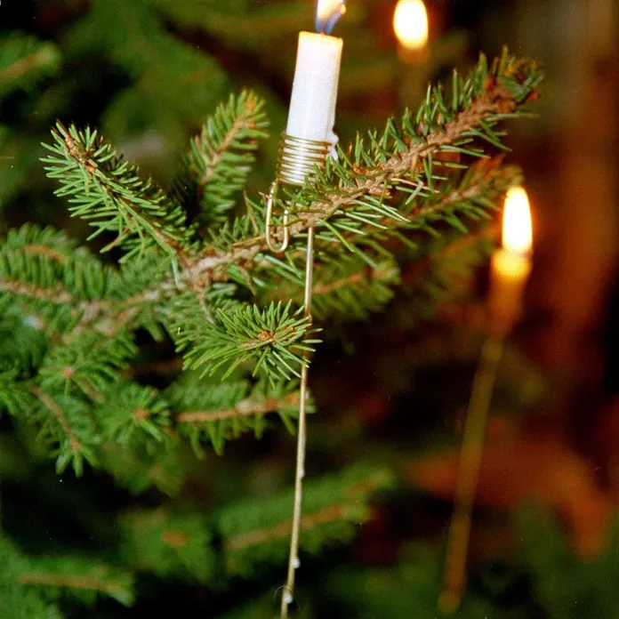 Pistä kuusi kiertoon – Joulukuusista syntyy sata tonnia hyödyllistä  raaka-ainetta, poltetaan myös sähköksi ja kaukolämmöksi | Talouselämä
