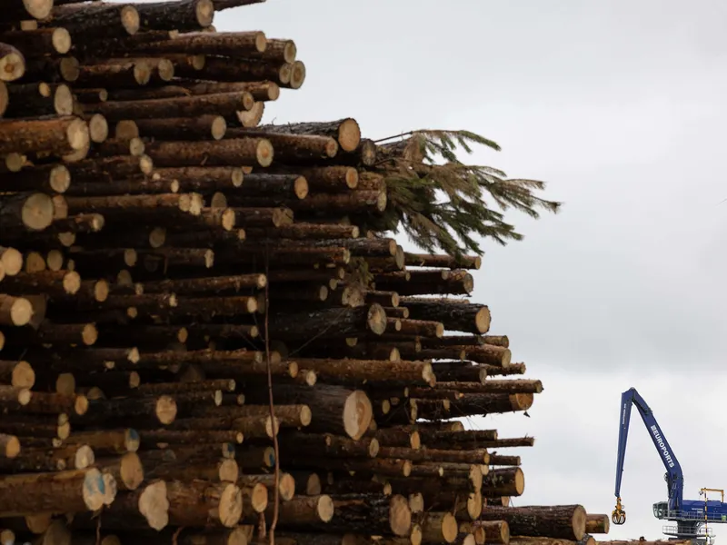 Suomalaisia metsäyhtiöitä riivaa ainakin noussut puutavaran hinta. Tuonti Venäjältä on loppunut ja puuta ostetaan paljon myös energiakäyttöön.