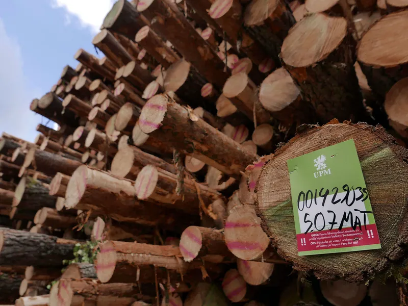 Suomen metsät: Hakkuut romahtivat vuoden 2014 tasolle | Talouselämä