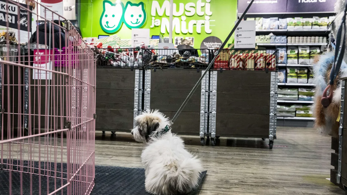 Mustin tulos parani, Inderes piristyi – Kauppalehti seuraa tiistain tulospäivää