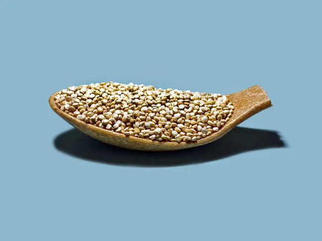 Nasa tutkii kvinoan kasvattamista avaruudessa – Melkoiset aminohapot |  Tekniikka&Talous