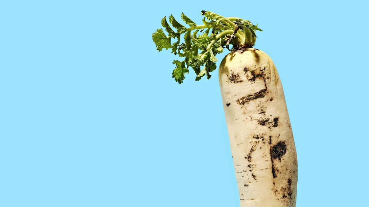 Japaninretikka voi kasvaa kaksimetriseksi | Kauppalehti