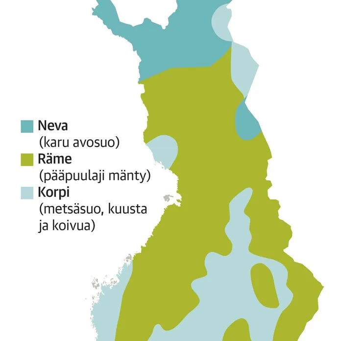 Suomen metsien hiilinielu voi olla oletettua pienempi | Talouselämä