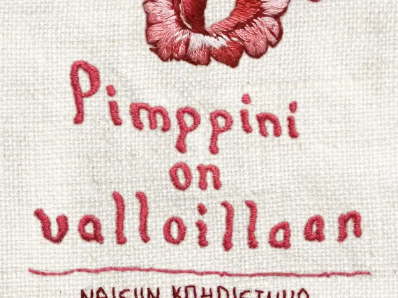 Naiskirjailijat raivostuivat sieppauskohusta: ”Järkyttävää” | Uusi Suomi