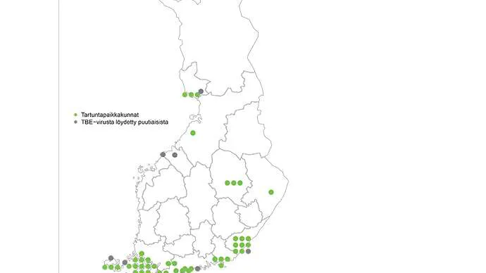 Lääkäri: ”Punkkirokotetta myydään häikäilemättömästi – ihmisiä  höynäytetään” | Uusi Suomi