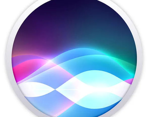 Sirin logo vuoden 2017 paikkeilta.