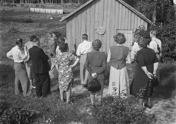 300m kartonkia seinällä: Suomalaisten kesämökkien suosikkituote sai alkunsa  1950-luvulla kartonkihylsyjen ylijäämästä – Vihreällä maalillakin on tärkeä  tehtävä tikkataulussa | Tekniikka&Talous