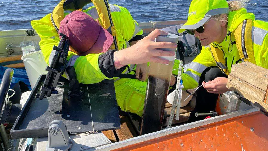 Tšernobylin räjähdys 40 vuotta sitten synnytti Suomeen valtavan aarreaitan – Tästä on kyse