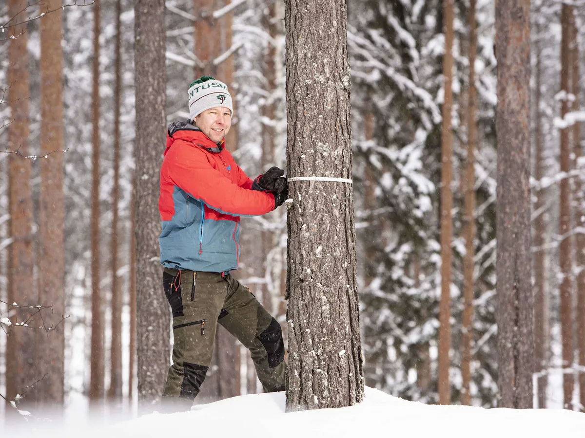 Suomen Sijoitusmetsät välittää metsäkauppoja | Kauppalehti
