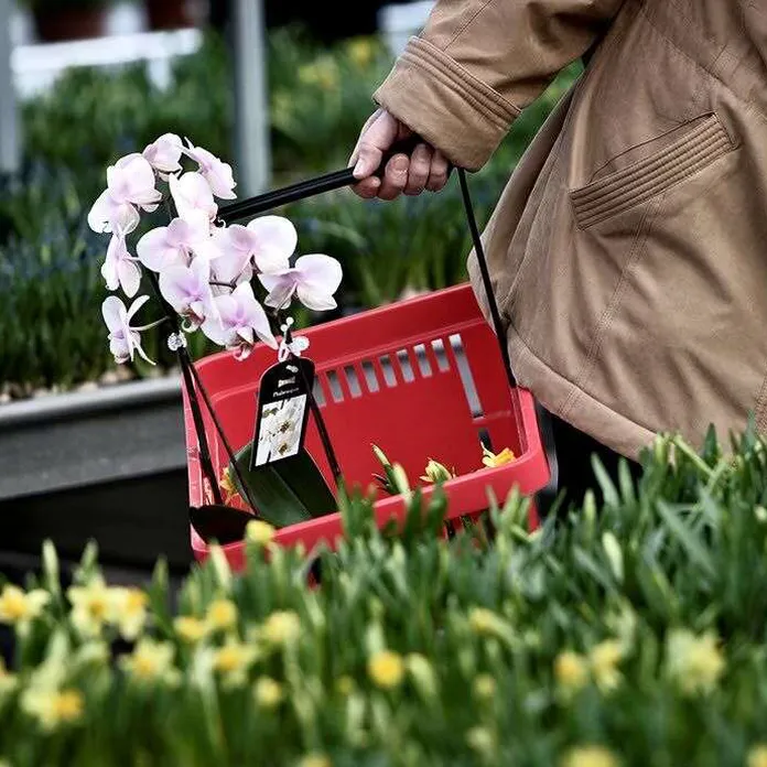 Plantagen avaa uusia pieniä myymälöitä | Kauppalehti