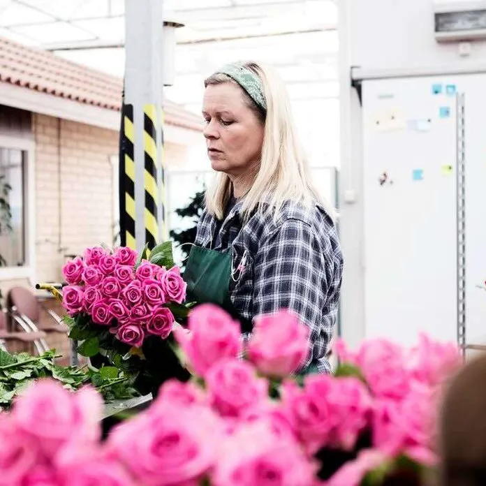 Kukkakaupan kotimaiset ruusut tulevat Ali-Marttilan Puutarhasta |  Kauppalehti