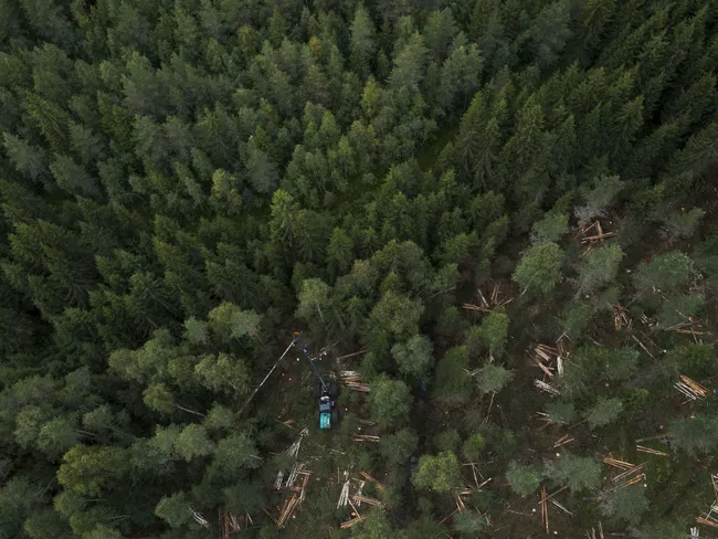 Suomen metsistä tehdään nyt uusi, tarkempi laserkeilaus – ”Metsätieto on  kymmenen kertaa aiempaa tarkempi” | Tekniikka&Talous