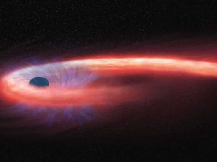 Mustan aukon valtava painovoima repii tähteä voimakkaammin toiselta puolelta, mikä saa tähden repeytymaan kappaleiksi.