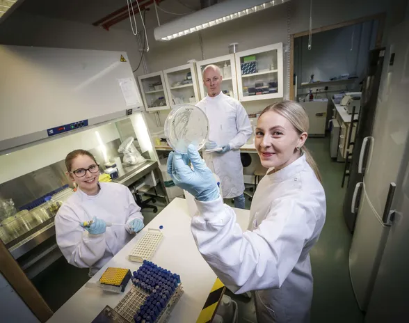 Toimitusjohtaja Matti Jalasvuoren luotsaama PrecisionPhage kehittää personoitua lääkehoitoa. Laboratoriossa työskentelevät mikrobiologit Tiia Eklund (vas) ja Juuli Peräkylä.