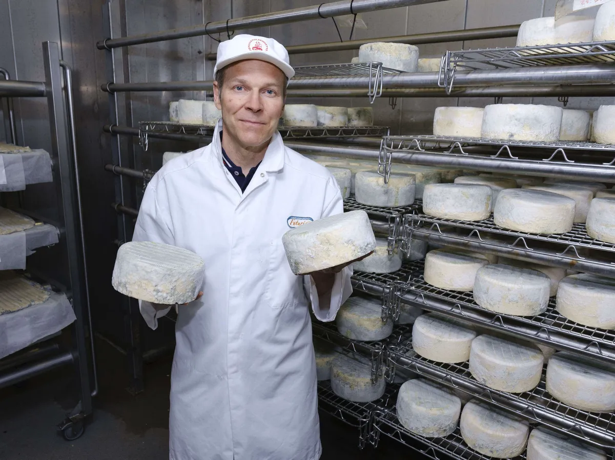 Maitotila löysi menestyksen sinihomejuustosta ja kirnuvoista – Peltolan  Juustola tekee omasta maidosta vain kahta tuotetta | Kauppalehti