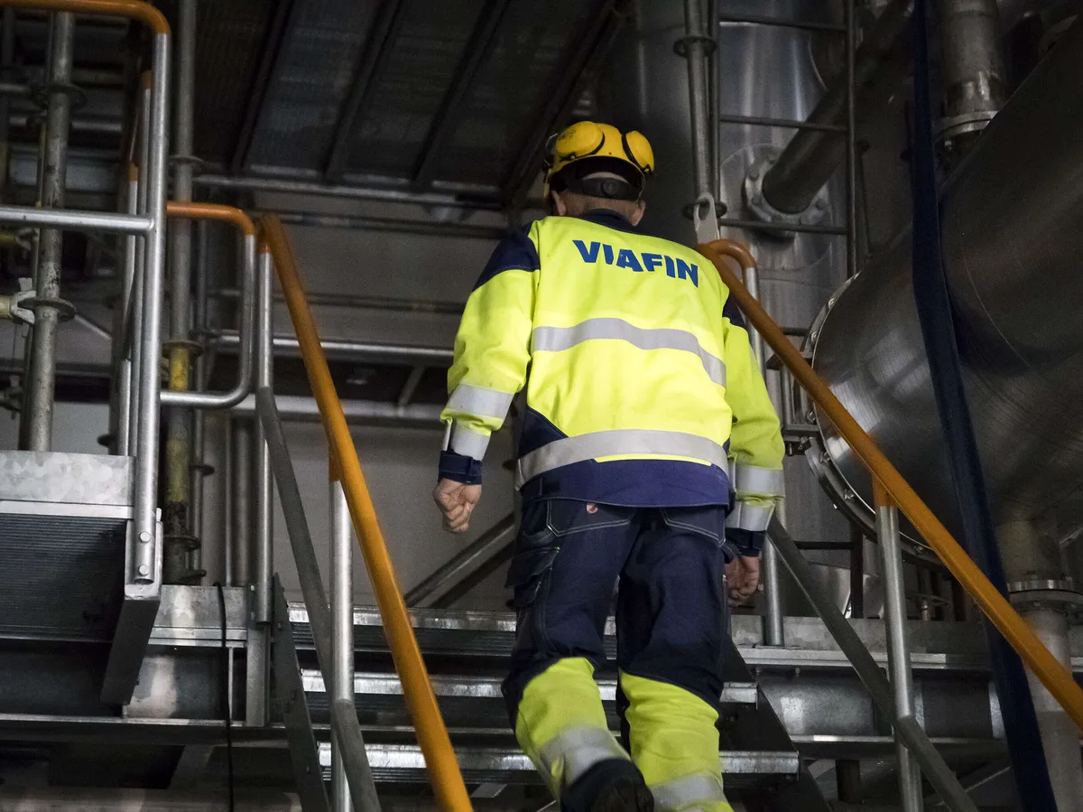 Viafin Service experiences deceleration in growth but sees a slight increase in profitability