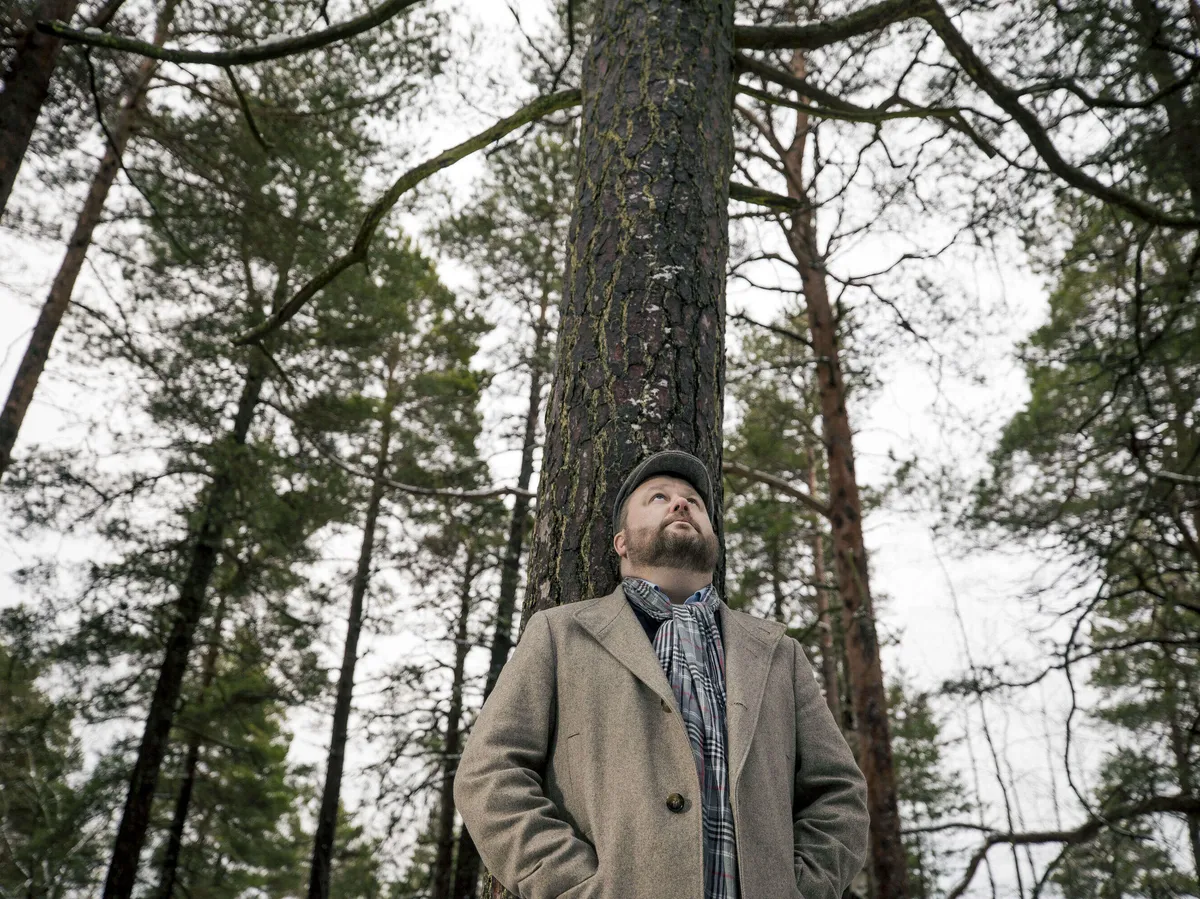 EU:n sääntelypuheista painetta metsäomaisuudelle – Asiantuntija vakuuttaa:  ”Tulot eivät häviä mihinkään” | Uusi Suomi