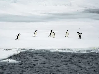 Antarktis tammikuussa 2023.