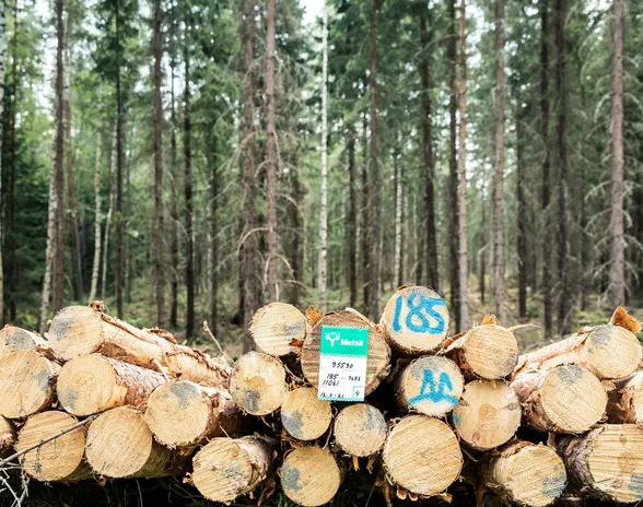 Metsä Board aloittaa muutosneuvottelut mahdollisista lomautuksista.