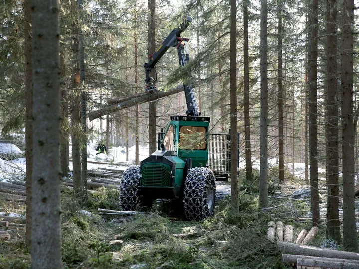 Suomen metsien käyttöön kohdistuu kovia paineita. Hakkuut voivat ylittää kestävän käytön rajan.
