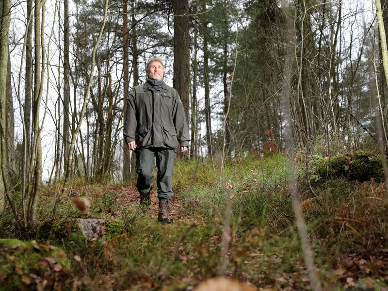 Tornatorin metsäomaisuuden arvo oli vuoden lopussa 3,2 miljardia euroa. Henrik Niemisen toimitusjohtama yritys otti käyttöön uuden laskentatavan metsäomaisuuden arvostamisessa.