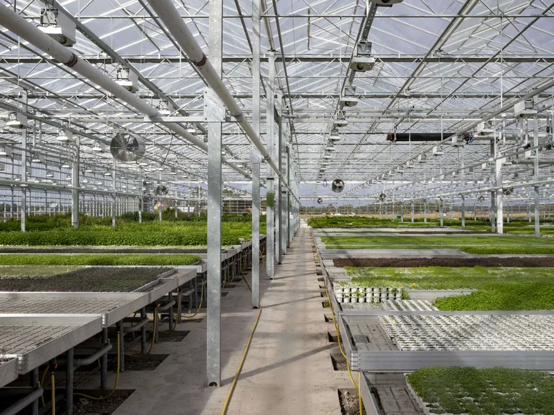 Turvejätti suunnittelee tuulivoimapuistoja tuotannosta poistuville soille –  Neovan kasvubisnestä syö kulujen kova nousu | Talouselämä