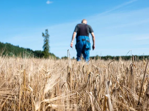 Iranin sodasta saattaa koitua Suomen viljelijöille vielä täysi katastrofi – Joka viides teki jo ison päätöksen