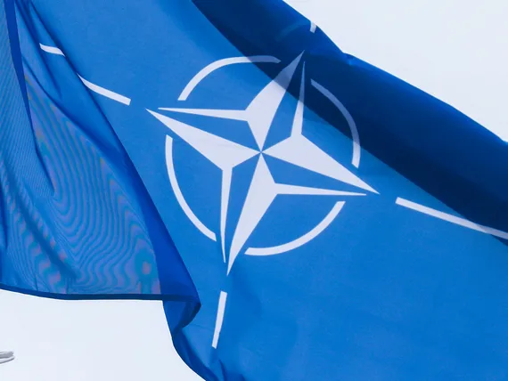 Suomen Nato-hakemus nytkähti eteenpäin Italiassa, mutta Wärtsilä hiertää  edelleen – USA:ssa senaatti äänestää illalla | Uusi Suomi