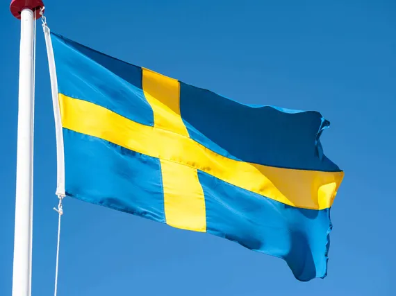 Ruotsiin tarvittaisiin koko maanlaajuinen vetyputkisto, raportti kertoo |  Kauppalehti