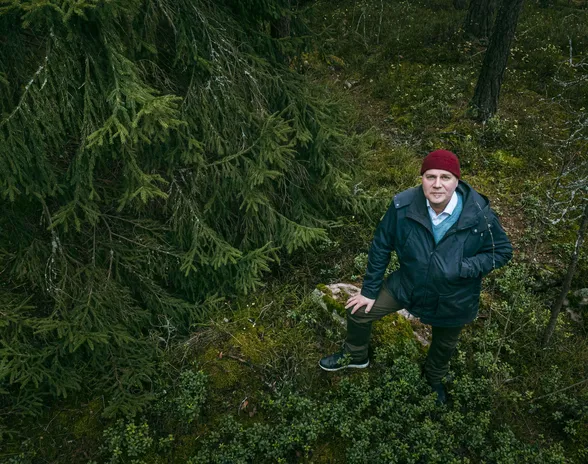 Stuba Nikulan tavoitteena on osata itse  ostaa haluamansa metsänhoitopalvelut. Nikula kuvattiin kotikaupungissaan Helsingissä Kivinokan luonnonsuojelu-alueella, hänen sukunsa metsäomaisuus on Juvalla.