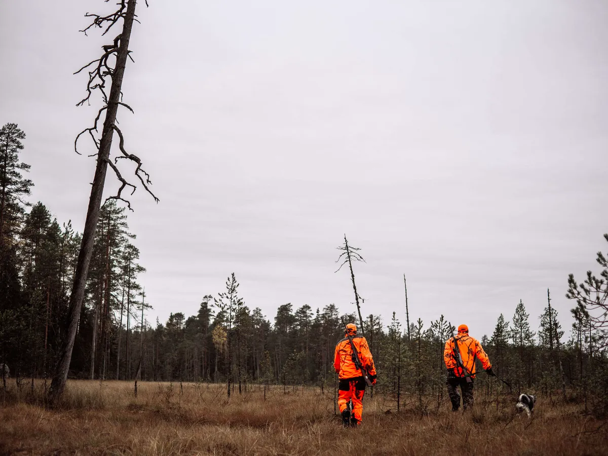 Suomalaismeppi Yrittää Estää EU:n ”pähkähullun” Lyijyhaulikiellon ...