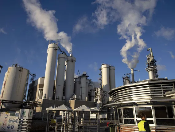 Suomen metsäyhtiöillä 5 uhkaa – Yksi uusi yllätti