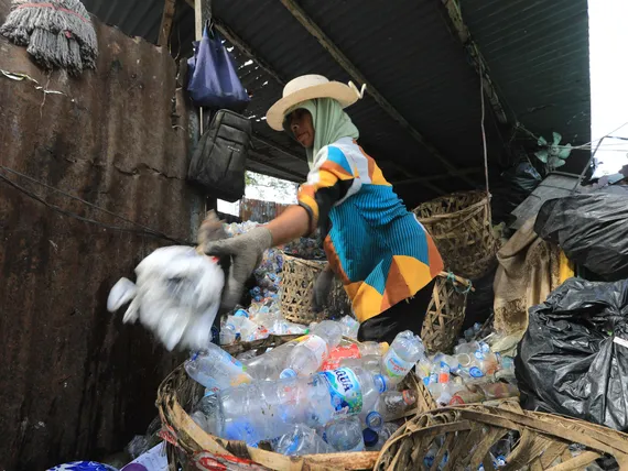 Mullistava havainto: Luonnosta löytyi kyky hajottaa muovia – ”Erittäin yleinen piirre”