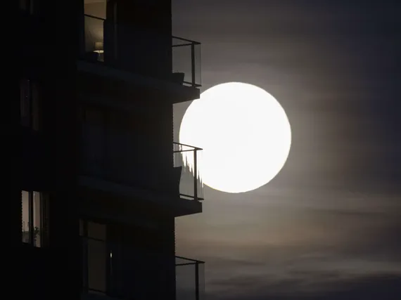 Suomalaiset istuvat kultasuonen päällä, eivätkä edes tajua sitä, hämmästelee tutkija – Puhuu miljardien saumasta