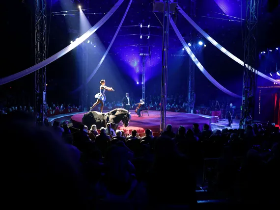 sirkus finlandia 2020