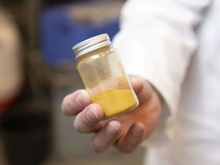 Solar Foodsin tuottama Soleiini on oranssia jauhetta, jota voi käyttää elintarviketeollisuuden raaka-aineena. Sillä ei ole vielä elintarvikelupaa.