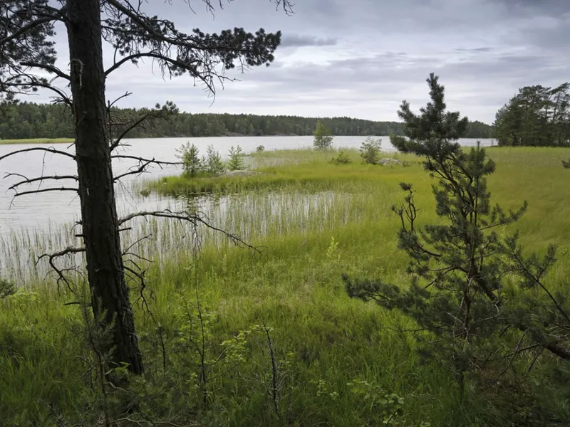 Kansallispuistot ovat nousseet Suomen matkailuvaltiksi – kävijämäärät ja  ulkomaisten turistien kiinnostus on kasvussa | Talouselämä