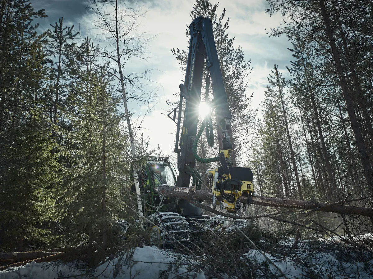 The reduction in logging made land use a carbon sink again – One sector produced 72 percent of Finland’s emissions
