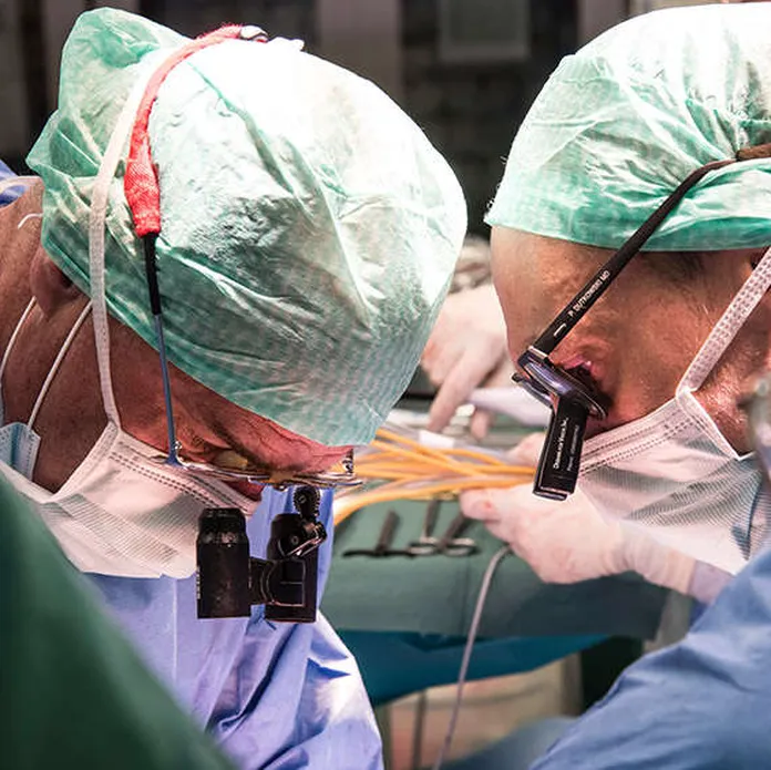 Vahingoittunut maksa ”olisi heitetty roskiin”, mutta kirurgit päättivät  toisin ja korjasivat sen 3 päivässä – Siirrettiin onnistuneesti  62-vuotiaalle | Tekniikka&Talous