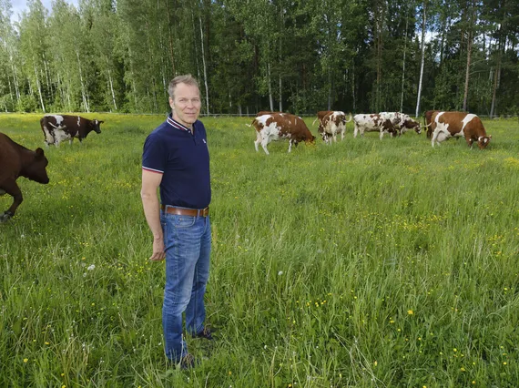 Maitotila löysi menestyksen sinihomejuustosta ja kirnuvoista – Peltolan  Juustola tekee omasta maidosta vain kahta tuotetta | Kauppalehti