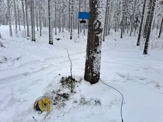 ”Tuhannen taalan kysymys”, sanoi kenraali – Tällainen miina Suomen armeijalle haluttaisiin