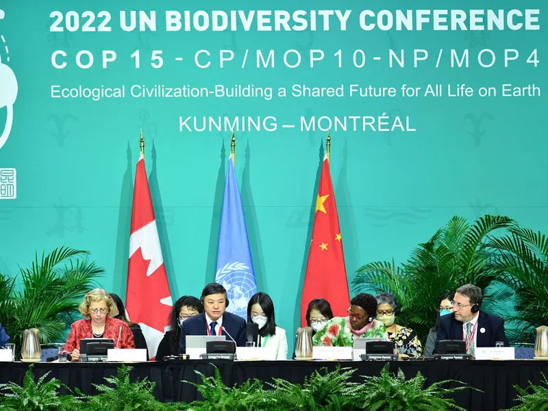YK:n luontokokoukseen osallistui noin 10 000 valtioiden, tiedemaailman, yritysten, rahoittajien, järjestöjen ja alkuperäiskansojen edustajaa. Kokousta isännöi Kiina.