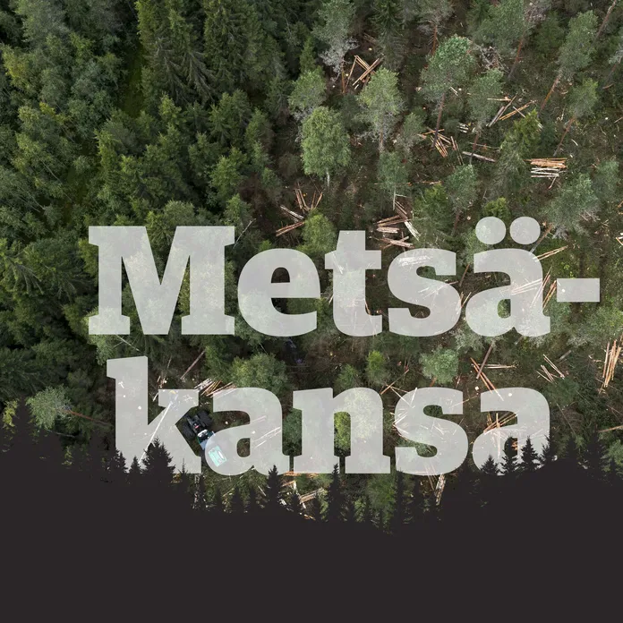 Metsänomistus on mullistunut Suomessa monella tavalla, mutta yksi asia  menneitä ja nykyisiä metsänomistajia yhdistää | Kauppalehti
