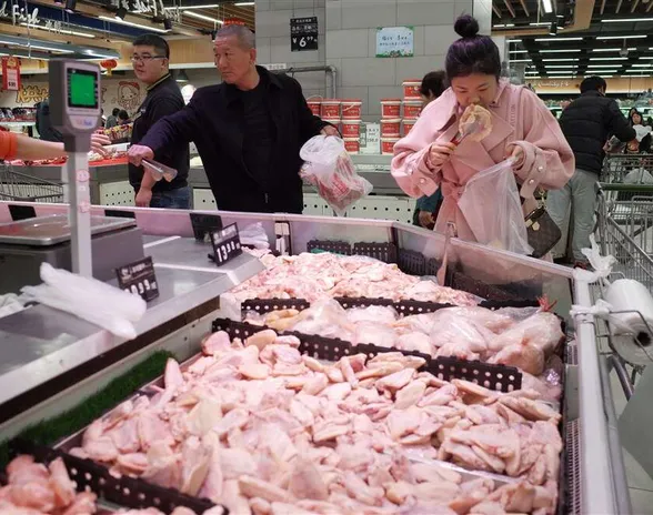 Kiinalaiset valitsivat broileria ruokakaupassa Pekingissä syksyllä 2019. EPA-EFE.