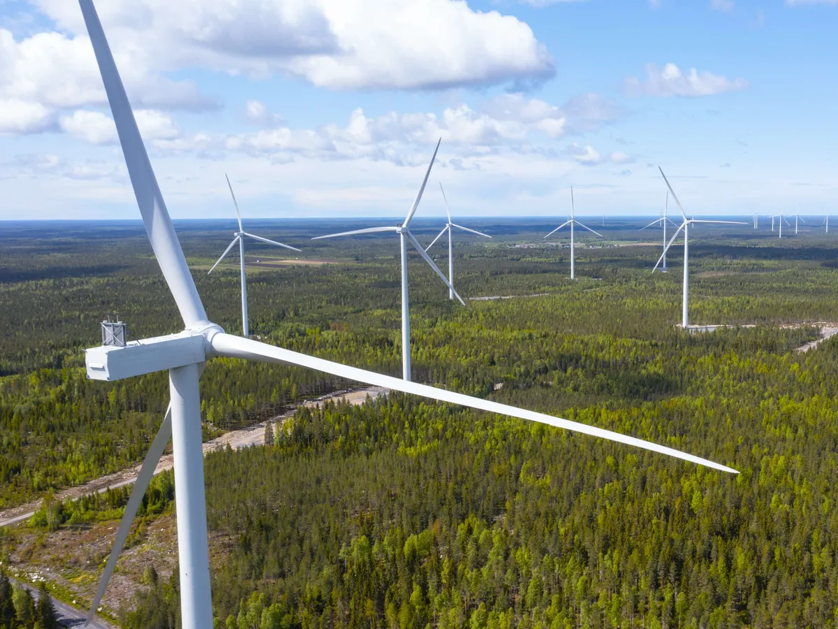 Wind power will grow to become the largest form of renewable electricity production this year