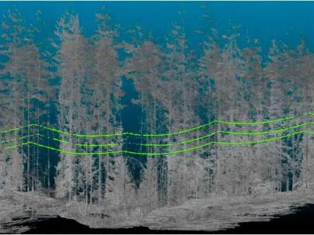 Mls-menetelmällä kuvannettu sähkölinja metsässä. Tunnistusalgoritmi erottaa sähkölinjan pistepilvestä ja värittää sen vihreänä.