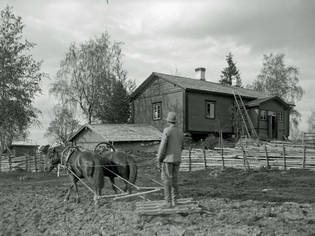 Tiedätkö, montako hevosvoimaa hevonen kykenee tuottamaan? – Kustaa Vaasa  kielsi hevosviennin Suomen alueelta 1520-luvulla | Tekniikka&Talous